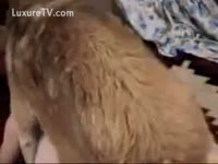 Free beastiality porn dog banging a chick